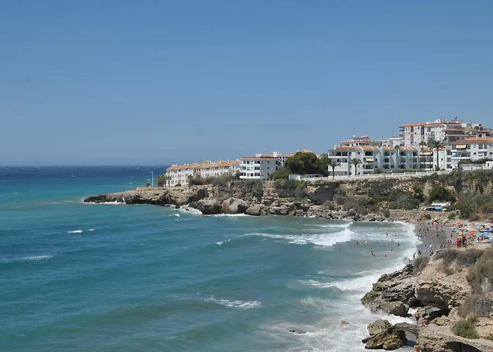 Palmas 15b, Oasis De Capistrano *